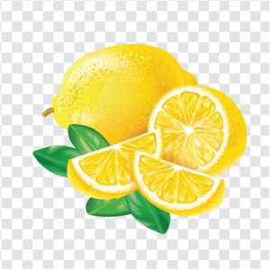 ElementosSitio2_lemon